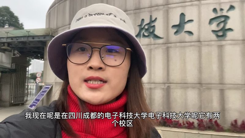 电子科技公司选型：揭秘高效流程步骤**
